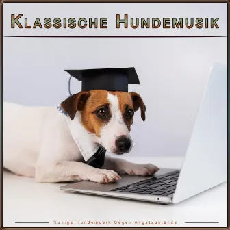 Klassische Hundemusik: Ruhige Hundemusik Gegen Angstzustände by Schlafende Musik für Hunde