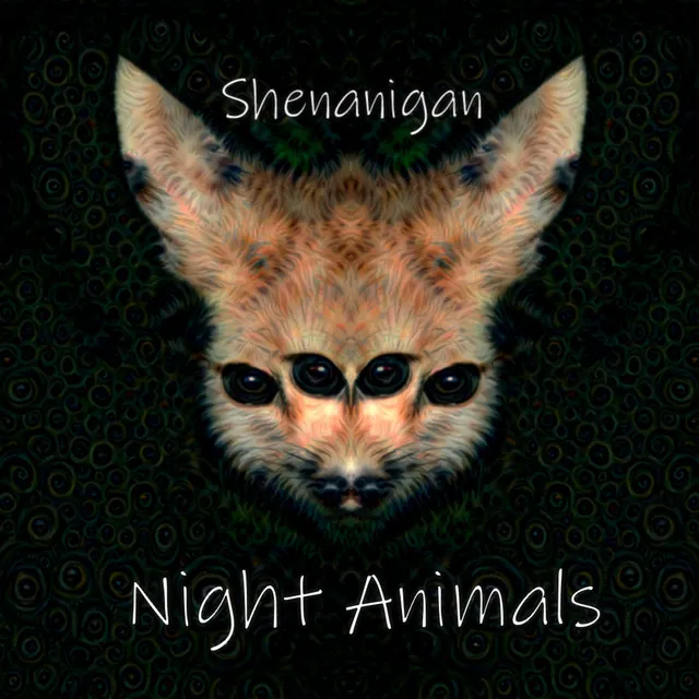 Night Animals