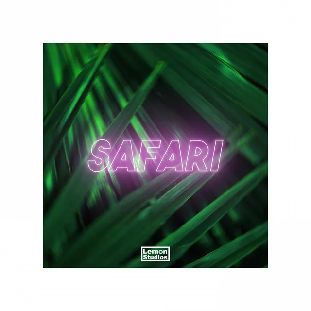 Safari