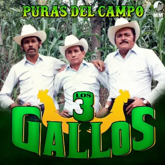 Puras Del Campo by Los Tres Gallos