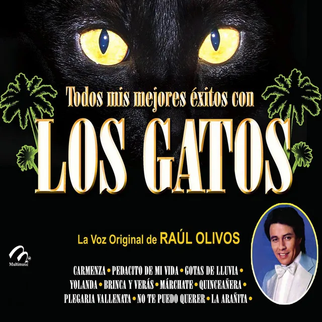 Los Gatos