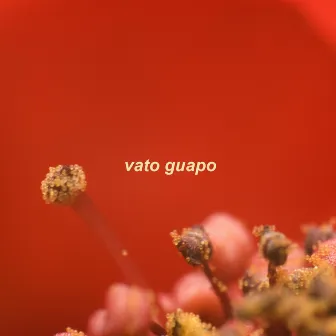 Vato Guapo by Tiburcio Maya