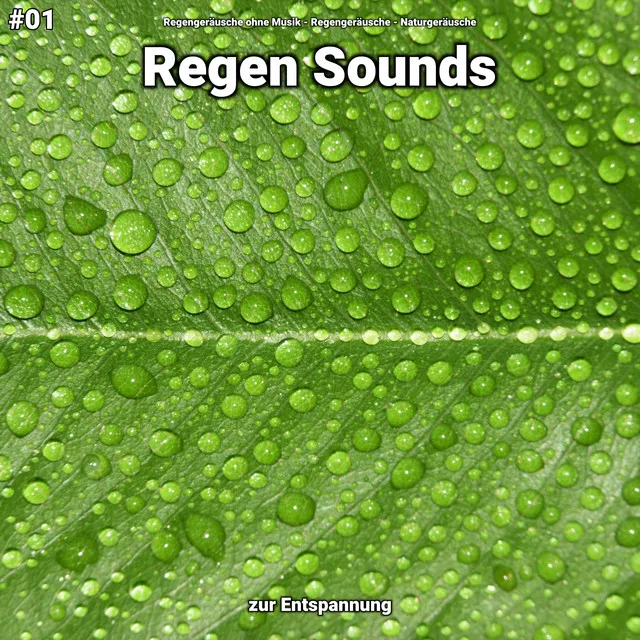 #01 Regen Sounds zur Entspannung