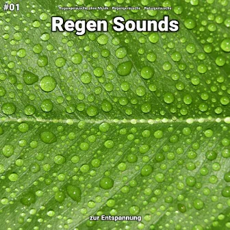 #01 Regen Sounds zur Entspannung by Regengeräusche ohne Musik