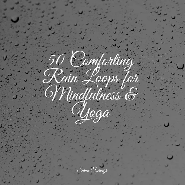 50 Comforting Rain Loops for Mindfulness & Yoga