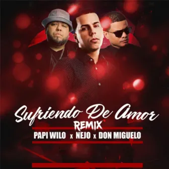 Sufriendo De Amor (Remix) by Papi Wilo