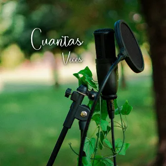 Cuantas Veces by Young Noisy