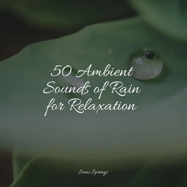 50 Ambient Sounds of Rain for Relaxation