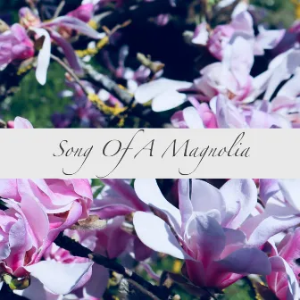 Song Of A Magnolia by Rahel Senn