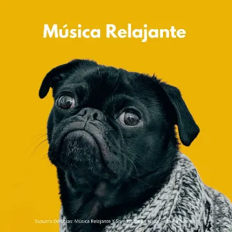 Susurro De Colas: Música Relajante Y Sonidos De La Naturaleza Para Perros by Música suave para perros