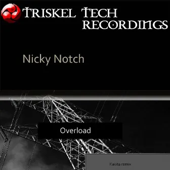 Overload by Nicky Notch