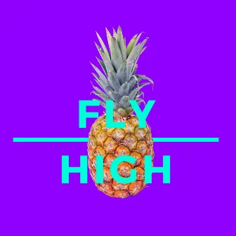 Fly High by Chaos Beats