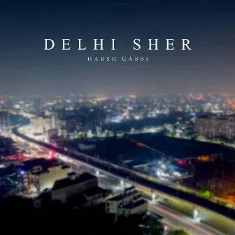 Delhi Sher by Harsh gabbi