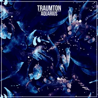 Aquarius (Club Mix) by Traumton