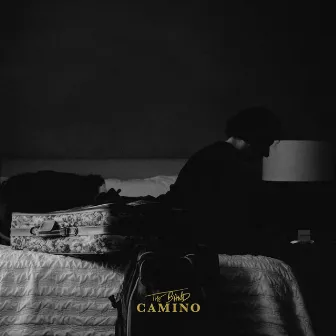 Fool of Myself by The Band CAMINO