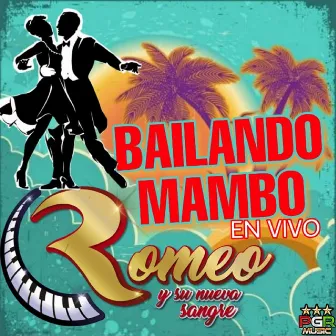 Bailando Mambo En Vivo by Romeo y Su Nueva Sangre