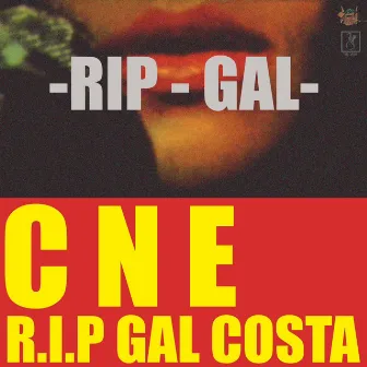 R.I.P Gal Costa by CARGA NOVA ENT.