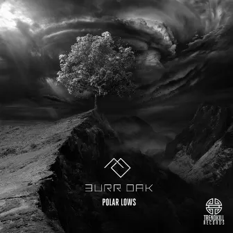 Polar Lows by Burr Oak