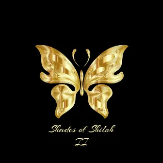 Shades of Shiloh 2 by Anweezy