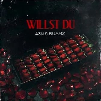 Willst du by Ä3N