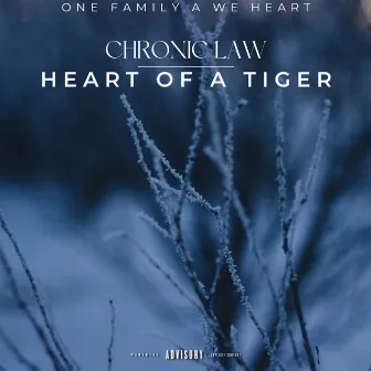 Heart Of A Tiger by One Family A We Heart