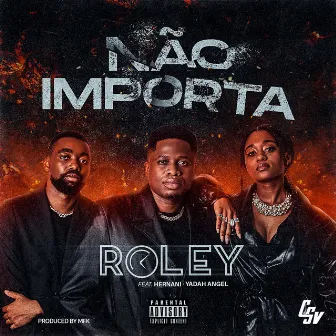 Não Importa by Roley