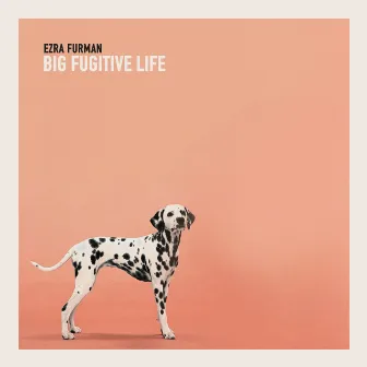 Big Fugitive Life by Ezra Furman