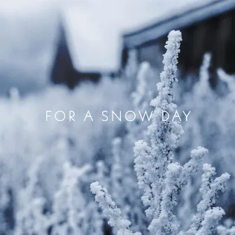 For a Snow Day by SDNY