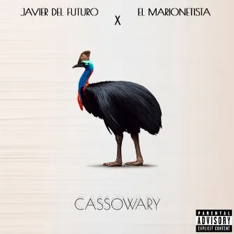 Cassowary by Javier del Futuro