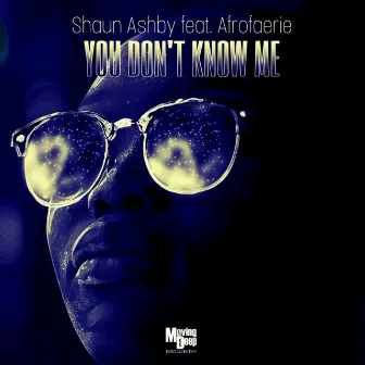 You Don't Know Me by Shaun Ashby