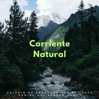 Corriente Natural: Estudio De Enfocado Con El Sueva Sonido Del Arroyo Vol. 1 by Compañía de música de lectura