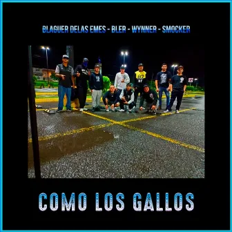 Como los Gallos by 