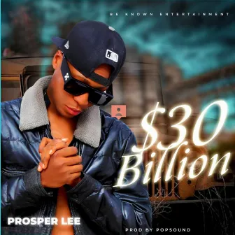 $30 Billion by Prosper Lee