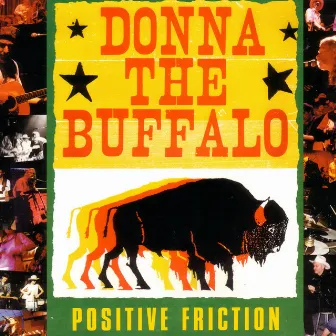 Positive Friction by Donna The Buffalo