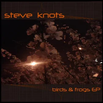 Birds & Frogs EP by Steve Knots