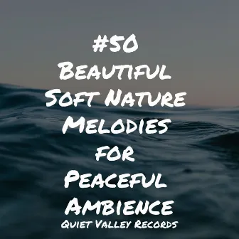 #50 Beautiful Soft Nature Melodies for Peaceful Ambience by Ambient Music Therapy