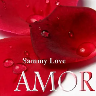 Amor by Sammy Love