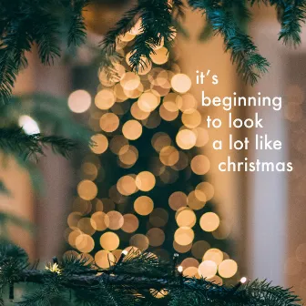 It's Beginning to Look a Lot Like Christmas by Colin & Caroline