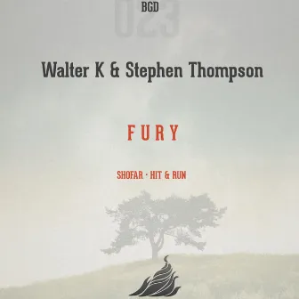 Fury by Stephen Thompson