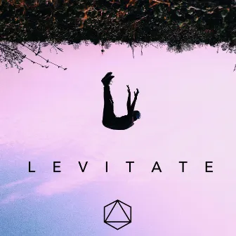 Levitate by Unknown Artist