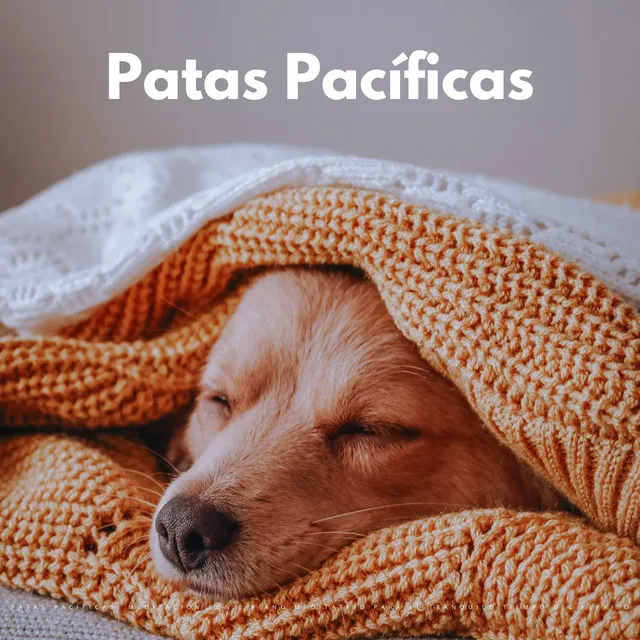 Patas Pacíficas: Meditación Con De Piano Meditativo Para El Tranquilo Tiempo Del Perrito