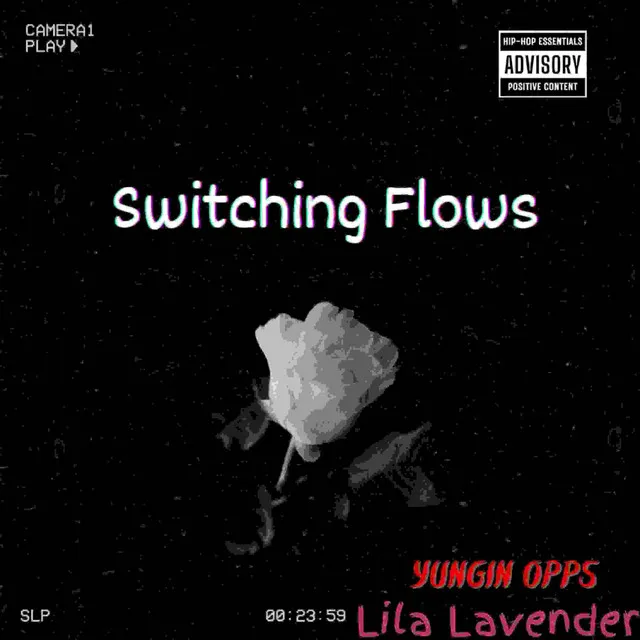 Switching Flows