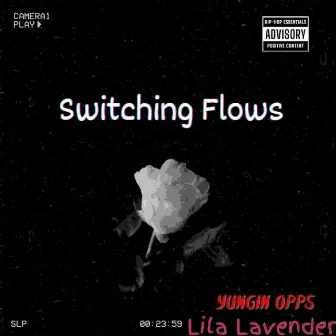 Switching Flows by Yungin Opps