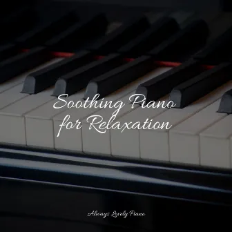 Piano for the Perfect Zone by Background Piano Music.