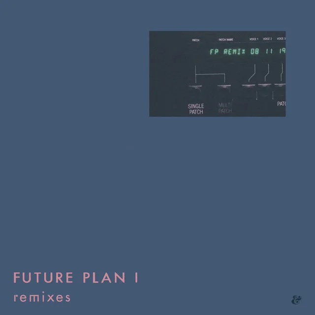 Future Plan I