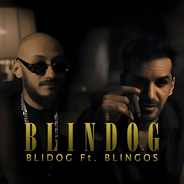 Blindog