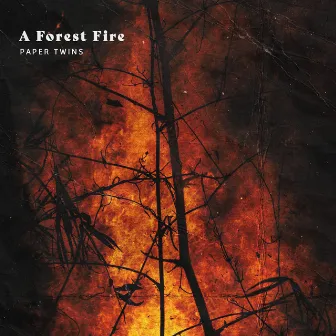 A Forest Fire by Paper Twins