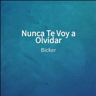 Nunca Te Voy a Olvidar by Bicker