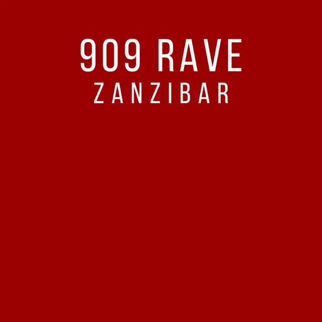 Zanzibar - Airplay Mix