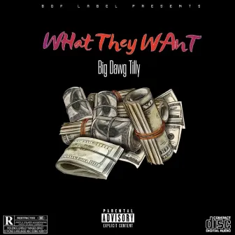 What They Want From Me by Big Dawg Tilly